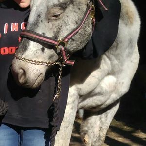 Meet your Posher, Sheila